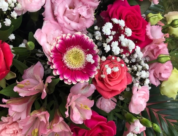 bukiet różowych kwiatów